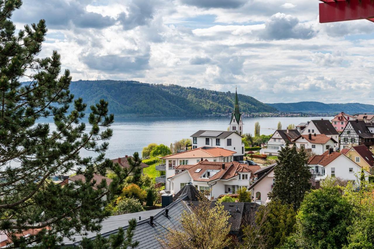 Adlerhorst Ueber Dem Bodensee Villa ซิปปลิงเงน ภายนอก รูปภาพ